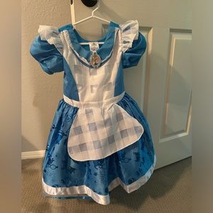 Authentic Disney Alice Dress